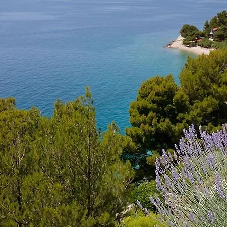Apartment By The Sea Brela, Makarska - 19205